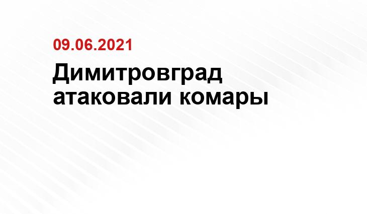 Источник vk.com