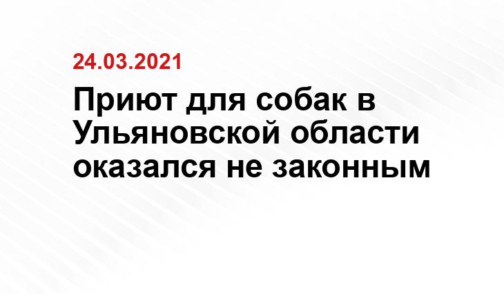 Источник Яндекс.Дзен