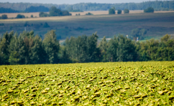 В 2024 года в ульяновские агрохозяйства закуплено почти 180 единиц сельхозтехники