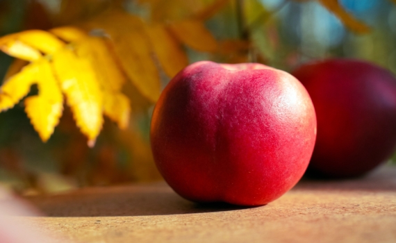 Магия палитры: почему в ноябре-2025 зелёный может вам навредить — цвета-проводники и цвета-ловушки Магия палитры: почему в ноябре-2025 зелёный может вам навредить — цвета-проводники и цвета-ловушки