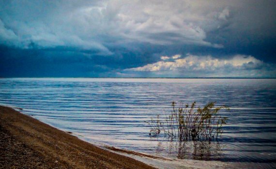 Ульяновская область приняла участие в создании новой композиции ко Дню народного единства проекта #МУЗЫКАВМЕСТЕ