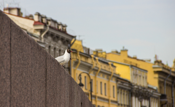 7 ноября отмечаем праздники: День согласия и примирения, уральского трамвая, именинники и не только 7 ноября отмечаем праздники: День согласия и примирения, уральского трамвая, именинники и не только