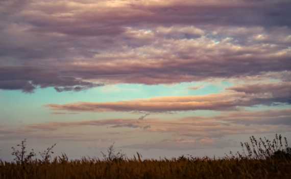 7 ноября Дедовские плачи: что можно и нельзя делать, чтобы год был лёгким — лайфхаки предков 7 ноября Дедовские плачи: что можно и нельзя делать, чтобы год был лёгким — лайфхаки предков